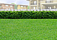 Lot for Sale in Cupang Proper, City of Balanga, Bataan